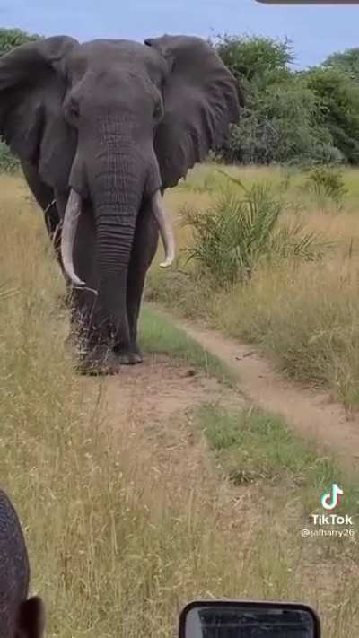 He is just excited