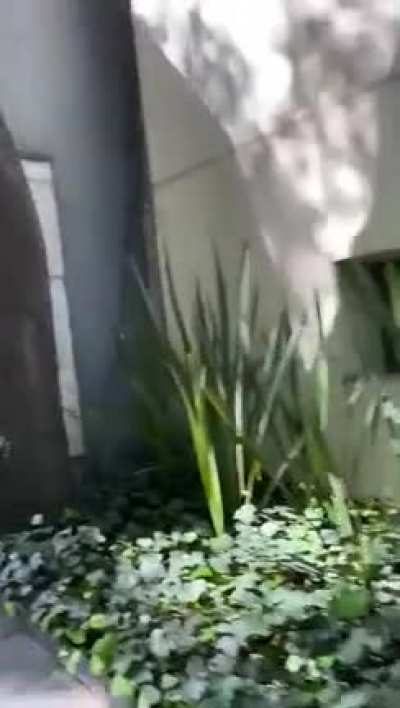 As&iacute; las cosas en Polanco, CDMX el d&iacute;a de hoy.