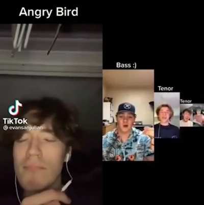 The angry bird