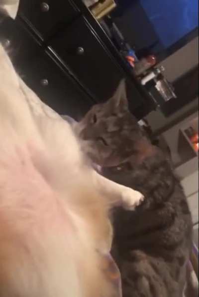 &ldquo;How dare you interrupt me mortal&rdquo;