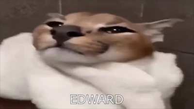 hey babes im back