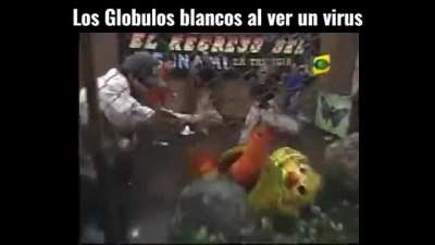 Meme Biologico