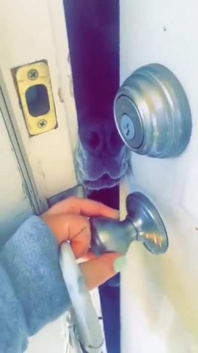 "don't leave me!"
