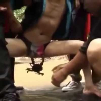Maybe Maybe Maybe