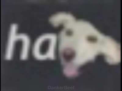 st