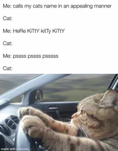Selective hearing (posting again because the gif didn&rsquo;t work last time)
