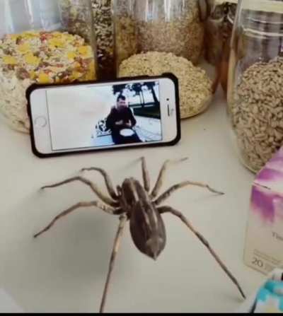 Hmmmm