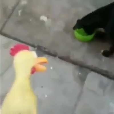 Ele perdeu a paci&ecirc;ncia