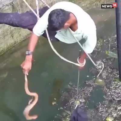 Least animal loving endian bro.