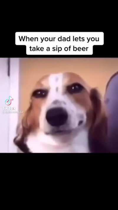 Can&rsquo;t stop laughing