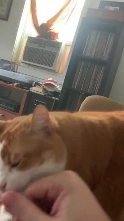 Once you start the bongos with Chubbs, he demands that you continue