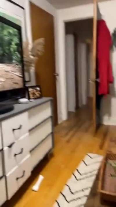 Squirrel!!