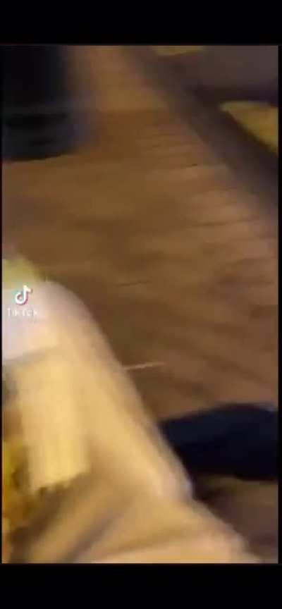I'm a seagull. Go fuck yourself.