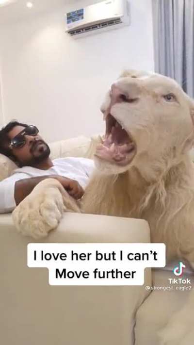 When regular pets just don&rsquo;t do it for you