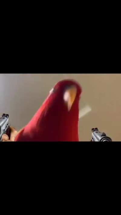 Sauce no meme