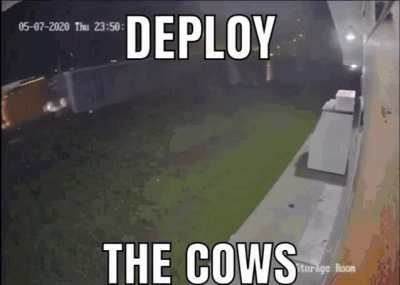 Rule