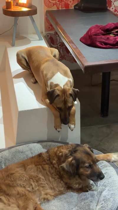 Estos 3 hacen mis d&iacute;as felices