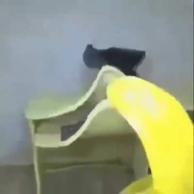 e.