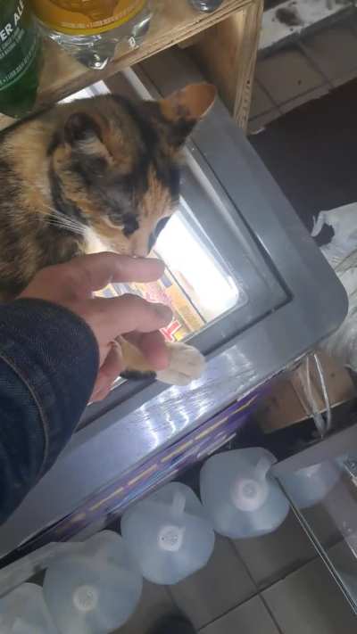 Luna likes licks