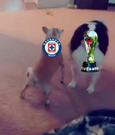 Est&aacute;n tan cerca pero a la vez tan lejos.
