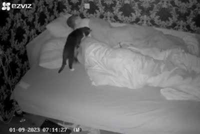 Wake up slave!