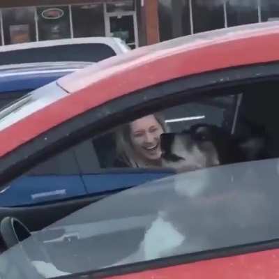 Doggie not waiting any longer