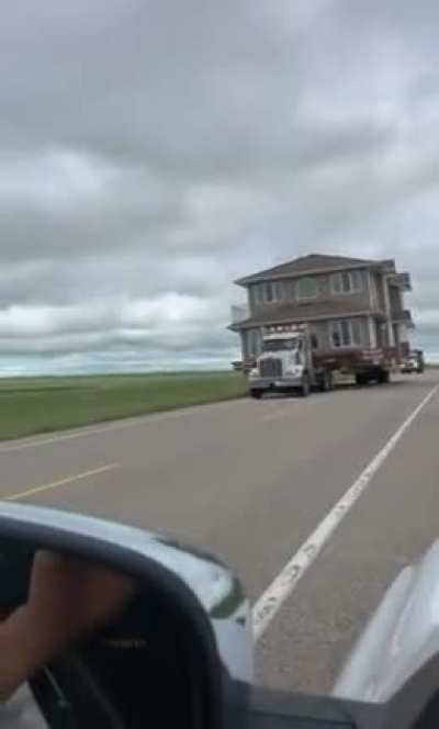 What moving company is this