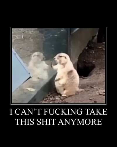 He just can&rsquo;t take it anymore