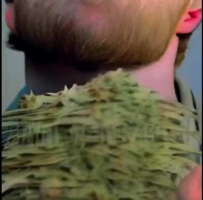 Harry Pothead