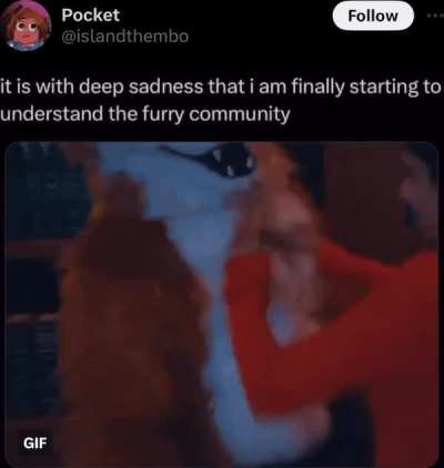 gay🦊irl