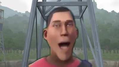 Scout royal