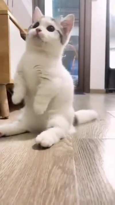 What a distinguished gentleman.