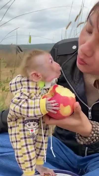 Dawg, wtf going on in chinese reddit 💀