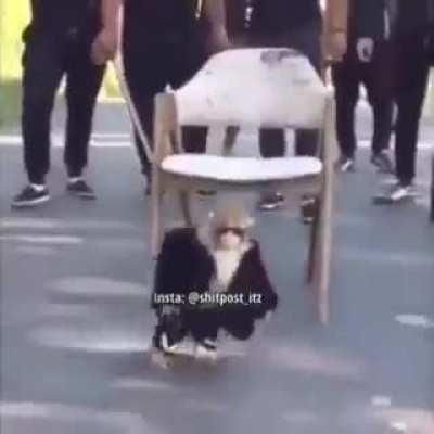 E o matutolol porra