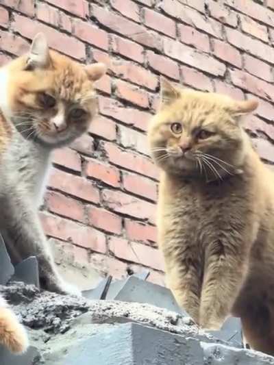 Words were exchanged
