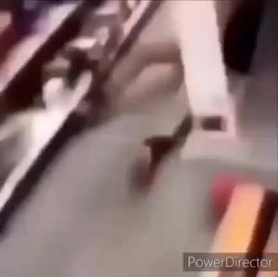 everything you&rsquo;ve ever known is contained in this video