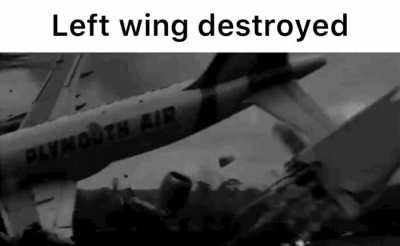 Get owned libtard