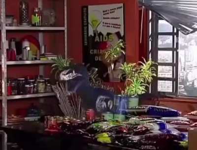 Que diabos &eacute; isso, Brasil?