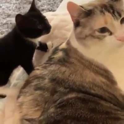to sneak attack