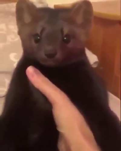 sicK fUCk kiLlS deFenSlESs cReatUre