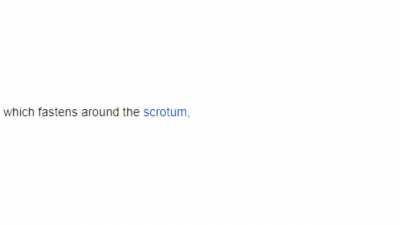 CBT Wikipedia The Full Experience archive