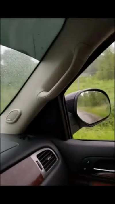 Roid/Road Rage