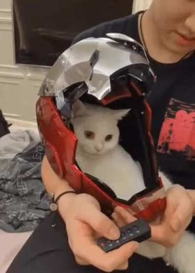 Iron-man?