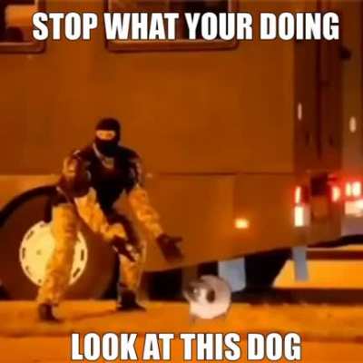 Stop