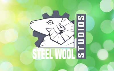 I wrote a song for Steel Wool :)