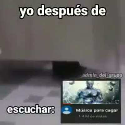 Q lia o