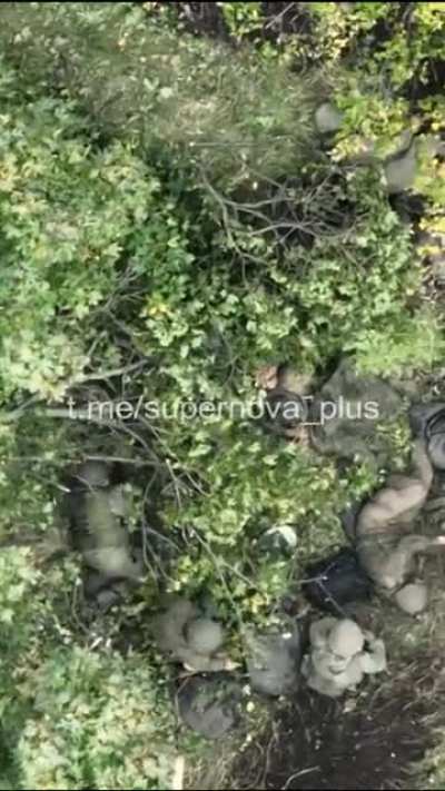 Multiple russian dead/wounded soldiers after another UAF drone dropped attack