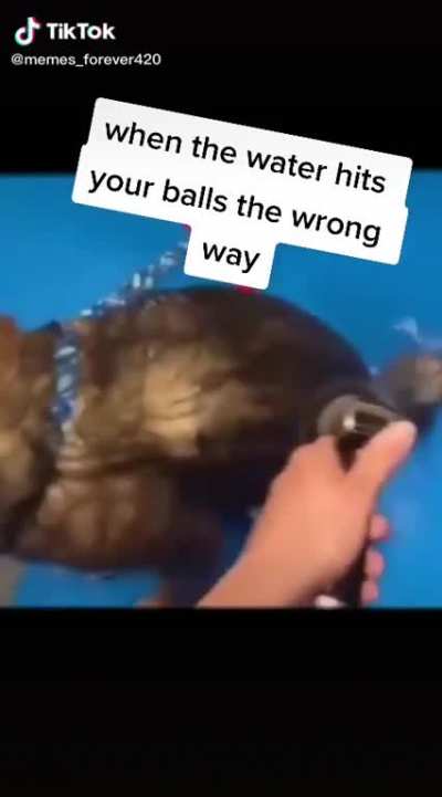 eeeeeaaaaaAAAAA