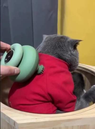 Awwwww