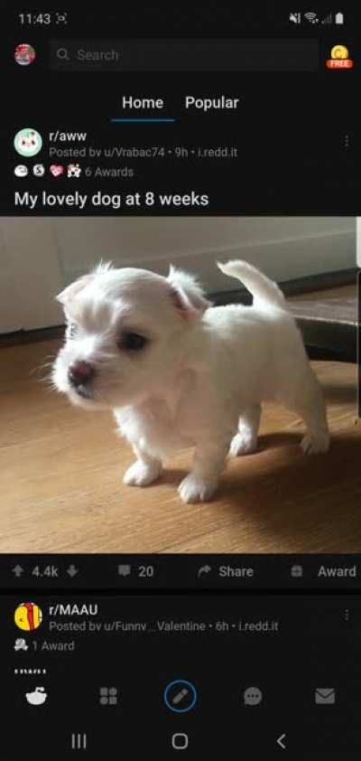 🥵